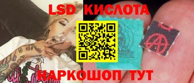 мдпв Донской