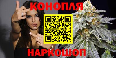 гидропоника Дубна