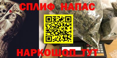 стафф Донецк